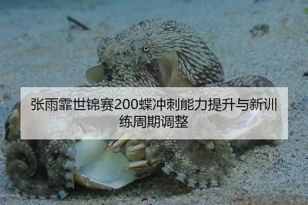 张雨霏世锦赛200蝶冲刺能力提升与新训练周期调整