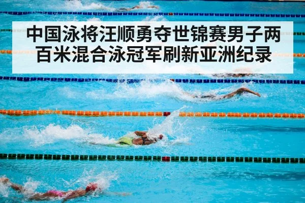 swimming competition freestyle