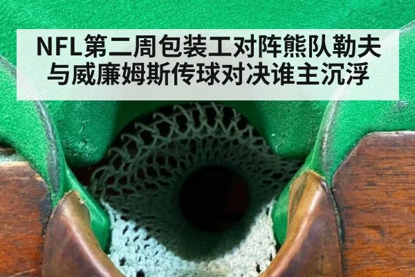 NFL第二周包装工对阵熊队勒夫与威廉姆斯传球对决谁主沉浮